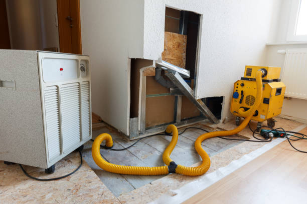 Best Attic Mold Removal  in Atlantic, IA