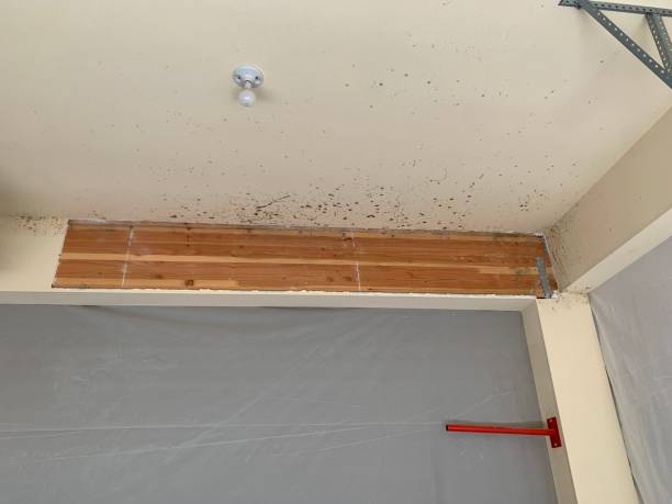 Best Air Quality Testing for Mold Spores  in Atlantic, IA