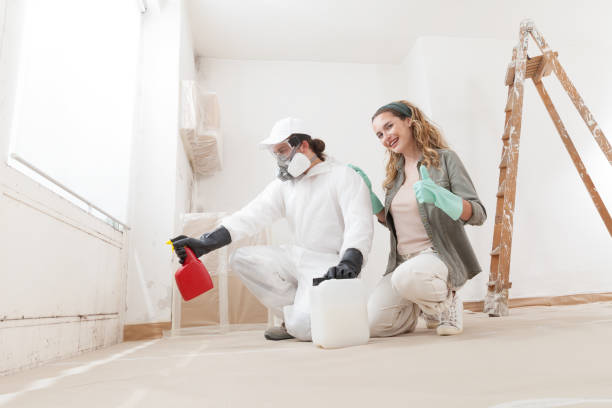 Professional Mold Removal in Atlantic, IA
